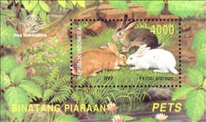 Souvenir Sheet, Domestic Animals, Indonesia,  , Rabbits, Animals (Fauna)