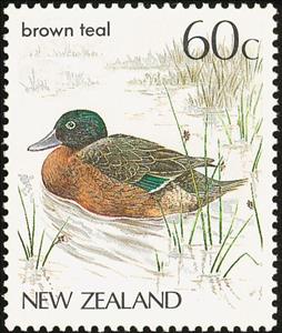 Stamp, Auckland Islands Teal (Anas aucklandica), New Zealand,  , Birds, Ducks, Animals (Fauna)
