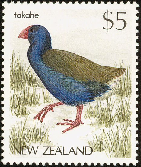 North Island Takahē / Mōho (Porphyrio mantelli)