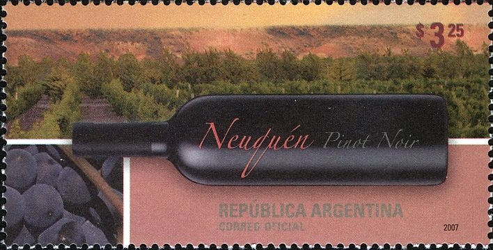 San Patricio del Chañar, Pinot Noir