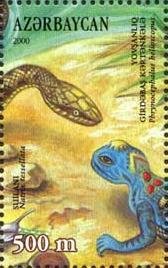 Stamp, Dice Snake (Natrix tessellata) , Azerbaijan,  , Reptiles