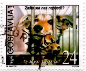 Stamp, Abandoned Dog (Canis lupus familiaris), Yugoslavia,  , Dogs, Animals (Fauna)