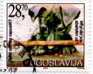 Stamp, Abandoned Dog (Canis lupus familiaris), Yugoslavia,  , Dogs, Animals (Fauna)