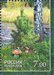 Stamp, Mushrooms, Pine, Russia,  , Trees, Mushrooms, Plants (Flora)