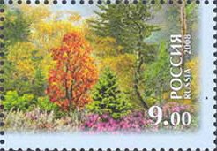 Central Sikhote-Alin. Wood
