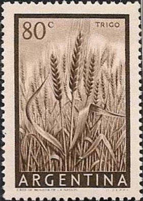 Wheat