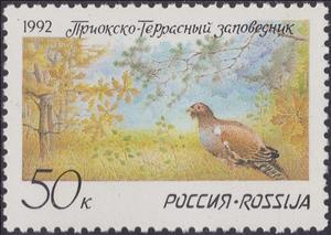 Stamp, Western Capercaillie (Tetrao urogallus), Russia,  , Birds, Hunting, Environment Protection, National Parks, Animals (Fauna)