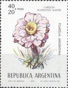 Stamp, Cardón, Argentina,  , Flowers, Plants (Flora)