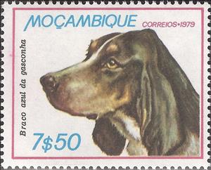 Stamp, Blue Gascogne Bracke (Canis lupus familiaris), Mozambique,  , Mammals, Dogs, Animals (Fauna)
