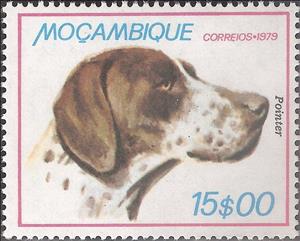 Stamp, English Pointer (Canis lupus familiaris), Mozambique,  , Mammals, Dogs, Animals (Fauna)