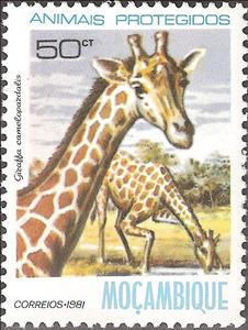 Stamp, Giraffe (Giraffa camelopardalis), Mozambique,  , Mammals, Giraffes, Animals (Fauna)