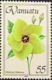 Majagua (Hibiscus tiliaceus)