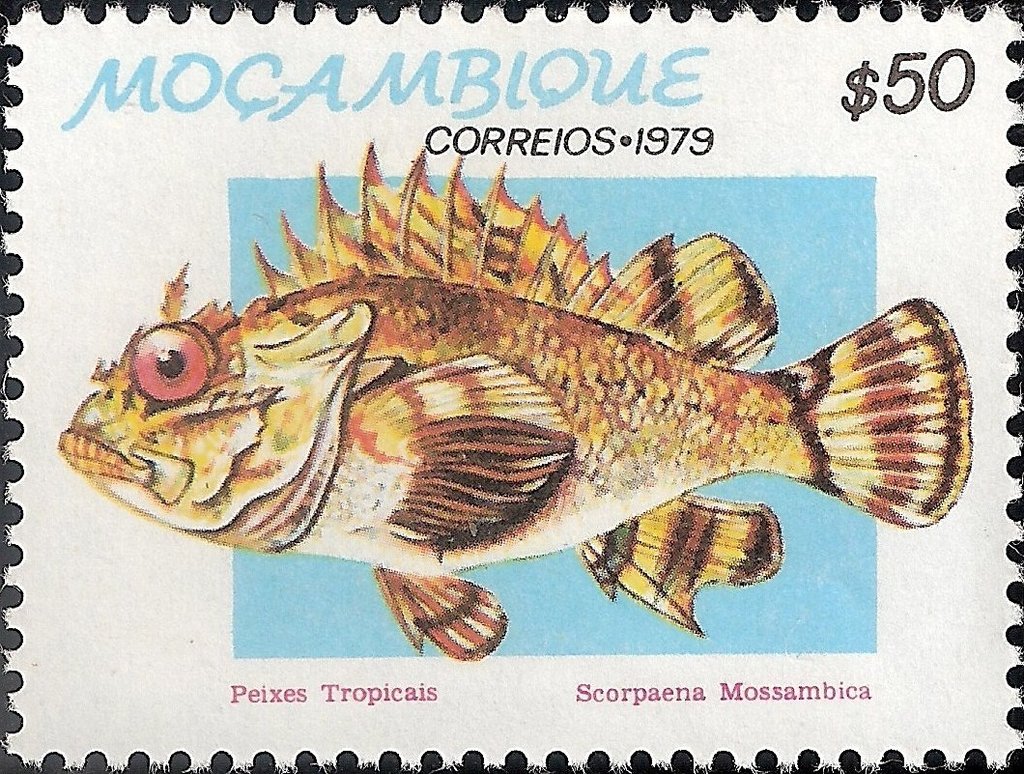 Mozambique Scorpionfish (Scorpaena mossambica)
