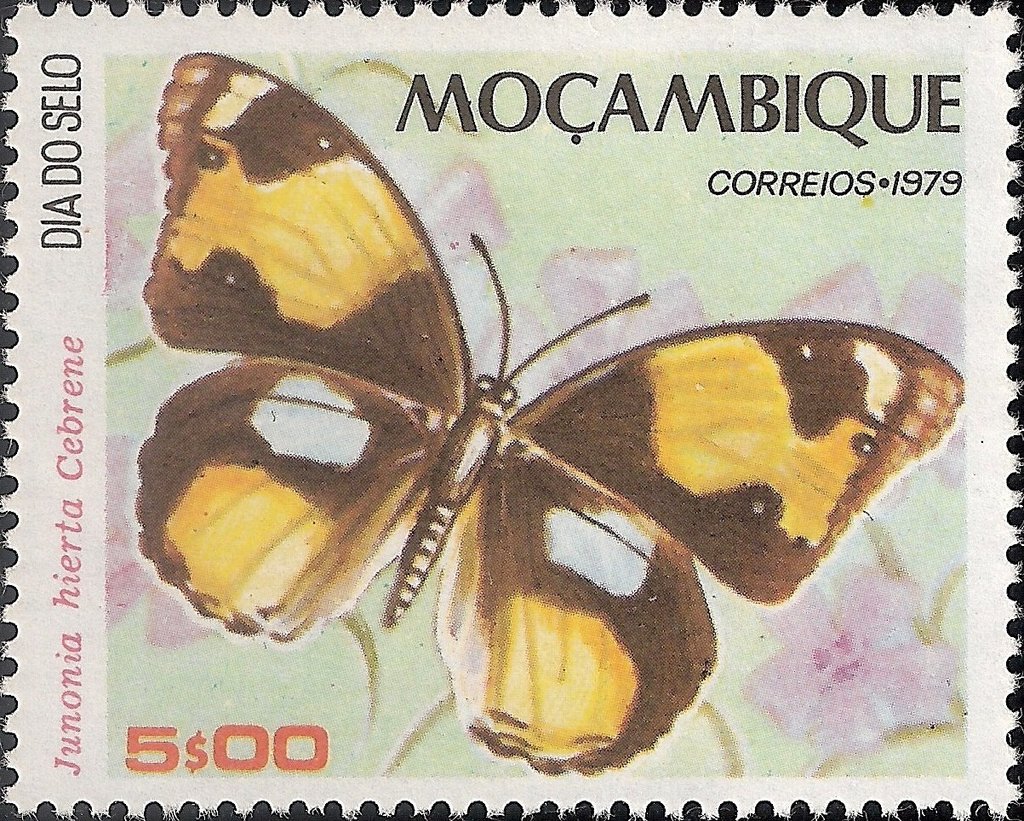 Yellow Pansy (Junonia hierta ssp. cebrene)