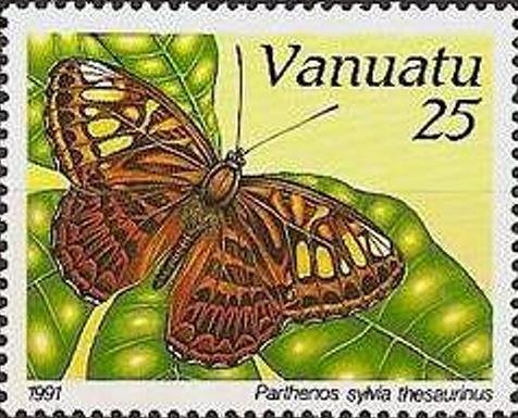 Clipper (Parthenos sylvia ssp. thesaurinus)