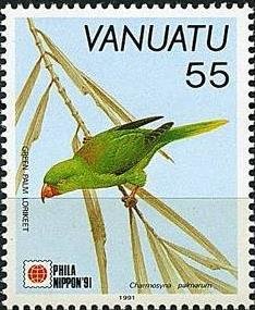 Palm Lorikeet (Charmosyna palmarum)
