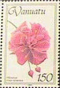 Filled Chinese Mallow