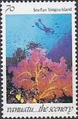 Fan Coral (Melithaea sp.), Island Tongoa