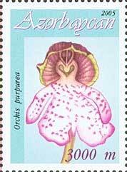 Stamp, Orchis purpurea, Azerbaijan,  , Flowers, Orchids, Plants (Flora)
