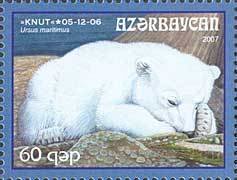 Polar Bear (Ursus maritimus) - "Knut"