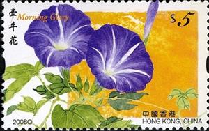 Stamp, Morning Glory, Hong Kong,  , Flowers, Plants (Flora)