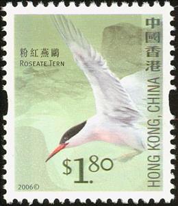 Stamp, Roseate Tern, Hong Kong,  , Birds