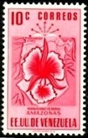 Amazonas 10