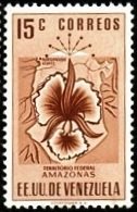 Amazonas 15