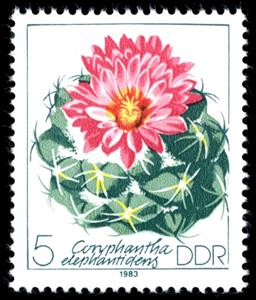 Stamp, Coryphantha elephantidens, Germany, Democratic Republic,  , Cacti