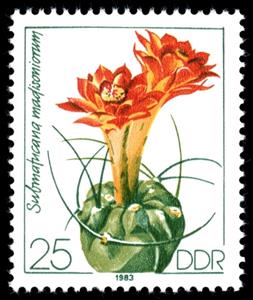 Stamp, Submatucana madisoniorum, Germany, Democratic Republic,  , Cacti