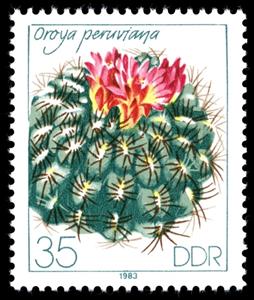 Stamp, Oroya peruviana, Germany, Democratic Republic,  , Cacti