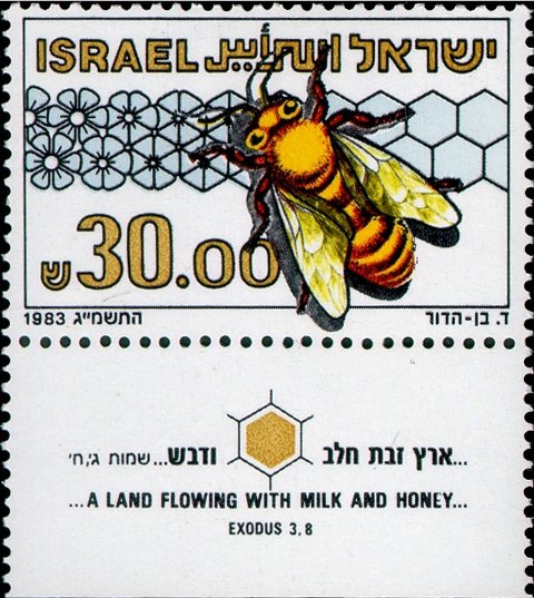 European Honey Bee (Apis mellifera)