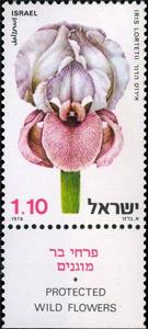 Stamp, Iris Lortatii, Israel,  , Flowers, Plants (Flora)