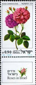 Stamp, Rosa damascena, Israel,  , Flowers, Roses, Plants (Flora)