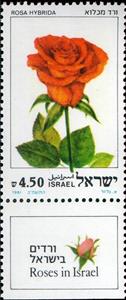 Stamp, Rosa hybrida, Israel,  , Flowers, Roses, Plants (Flora)