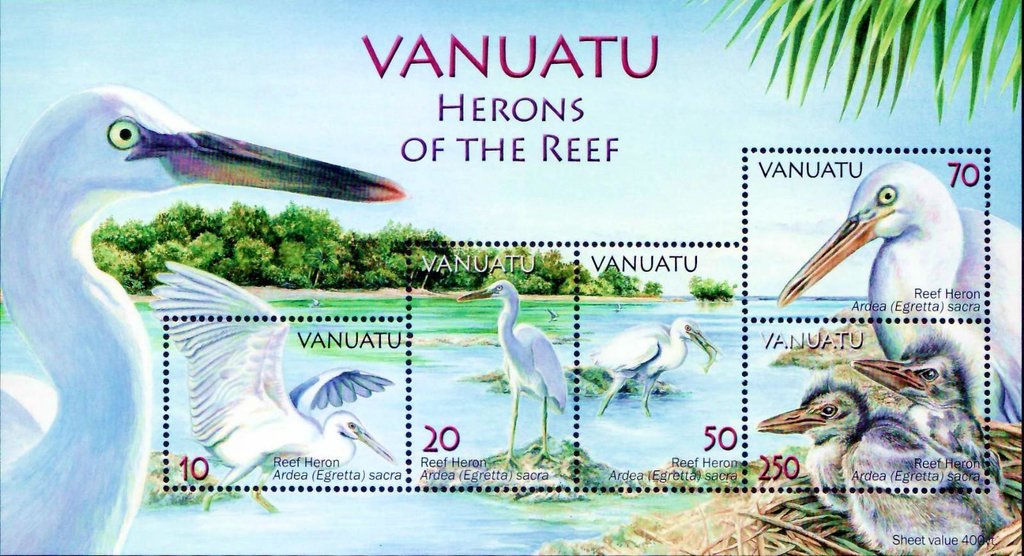 Pacific Reef Heron (Egretta sacra)