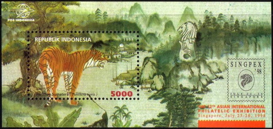 Sumatran Tiger (Panthera tigris sumatrae)