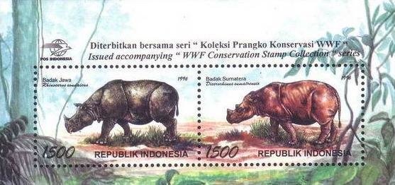Sumatran Rhinoceros (Dicerorhinus sumatrensis), Javan Rhinoc