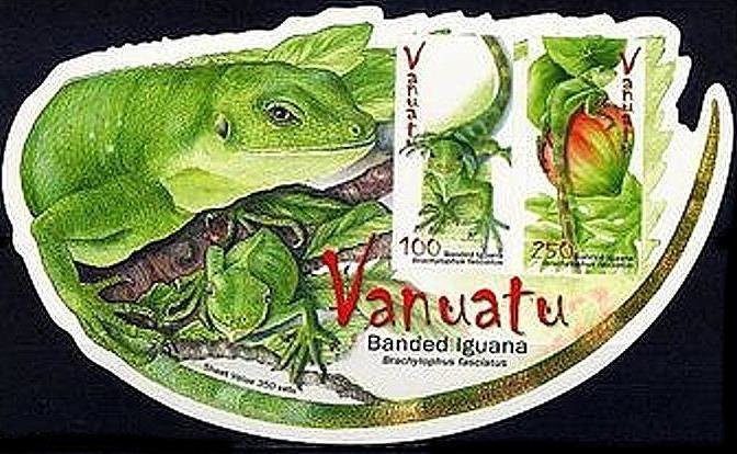 Fiji Banded Iguana (Brachylophus fasciatus)