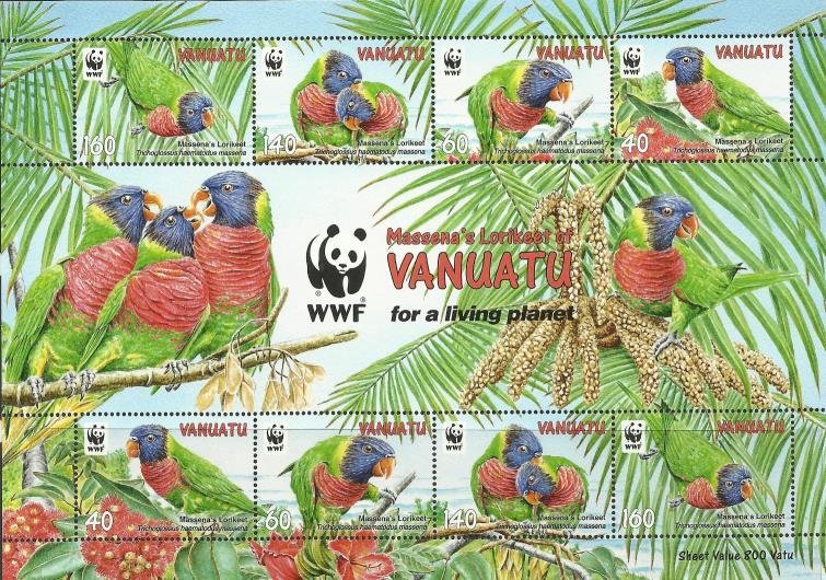 Massena Rainbow Lorikeet (Trichoglossus haematodus massena)