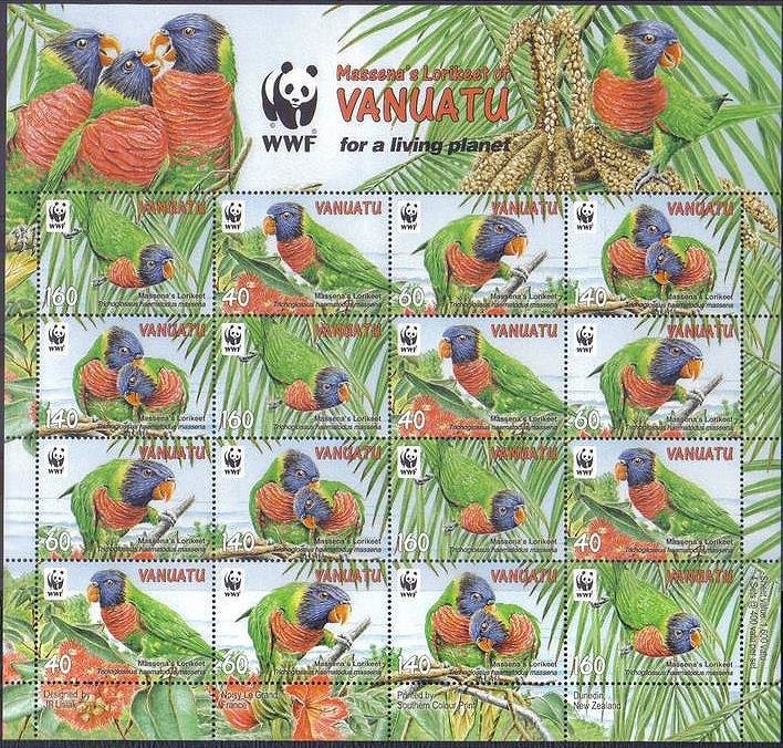 Massena Rainbow Lorikeet (Trichoglossus haematodus massena)