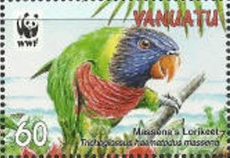 Massena Rainbow Lorikeet (Trichoglossus haematodus massena)