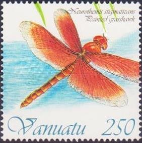 Painted Grasshawk (Neurothemis stigmatizans)