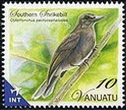 Southern Shrikebill (Clytorhynchus pachycephaloides)