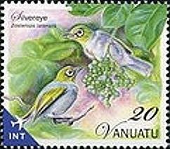 Silvereye (Zosterops lateralis)