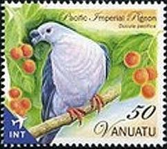 Pacific Imperial-pigeon (Ducula pacifica)