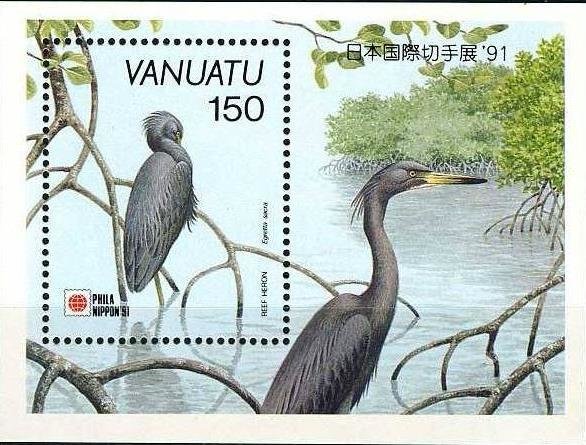 Pacific Reef Heron (Egretta sacra)