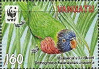 Massena Rainbow Lorikeet (Trichoglossus haematodus massena)