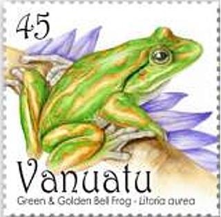 Golden Bell Frog (Litoria aurea)
