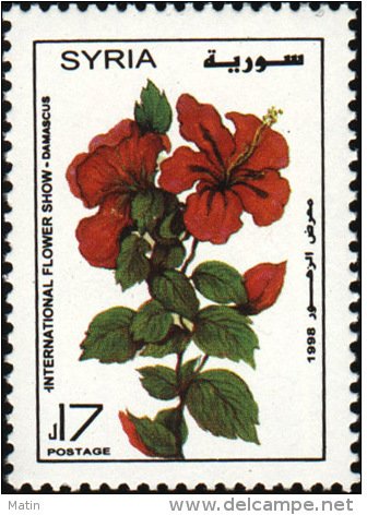 International Flower Show- Red hibiscus